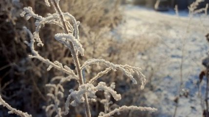 Зима близко: синоптики дали прогноз до конца ноября 