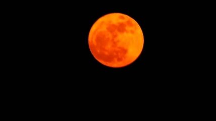 Ученые предположили, что оранжевая луна могла бы быть домом для живых существ
