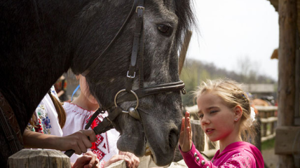 Куда пойти с детьми на выходных в Киеве: шоу-выставка «Мир лошадей»