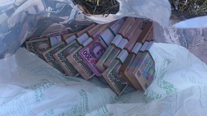 В Харьковской области следователи фискальной службы погорели на взятке  