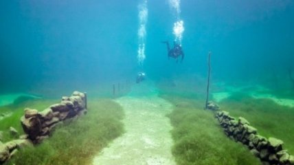 Подводные фотографии норвежской Атлантиды, от которых не отвести взгляд (Фото)