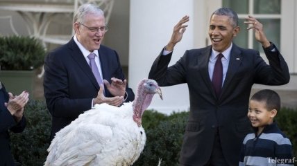 В США отмечают День благодарения