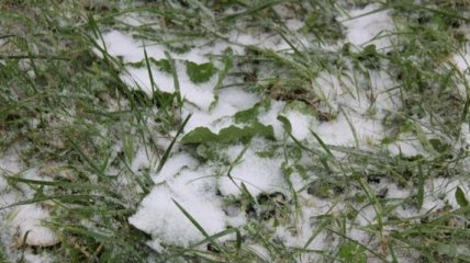 Донецк накрыло настоящим снегопадом 