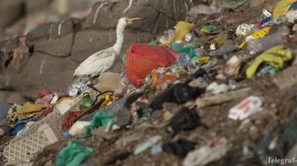 Евросоюз запретил одноразовый пластик