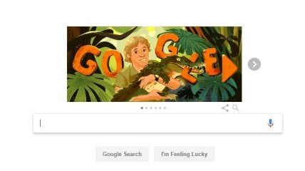 Google отметил дудлом 57 лет со дня рождения Стива Ирвина