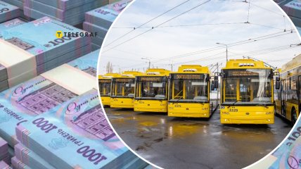 Круглую сумму коммунальное предприятие направит на приобретение новых троллейбусов. Фото Коллаж "Телеграфа"