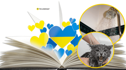 Филологи не могут определиться относительно употребления некоторых выражений