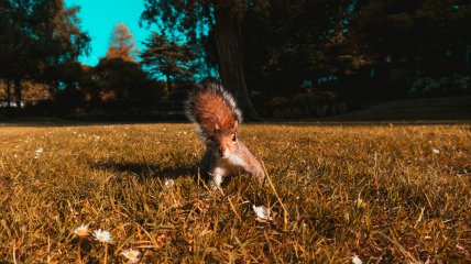 Жовтень — час холодів та свят