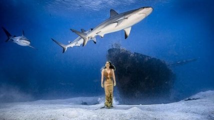 Модель снялась в подводной фотосессии с акулами без спецснаряжения (Фото)