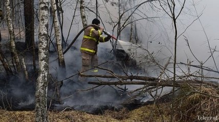 Пожары в Украине: что происходит в Житомирской области и Чернобыльской зоне 