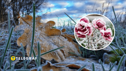 Заморозки в Україні