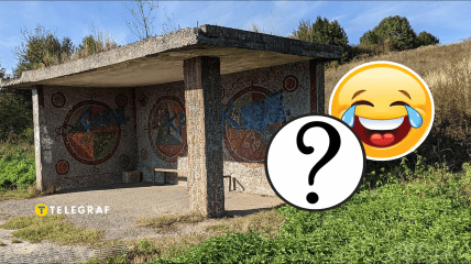 На остановке увидели коня