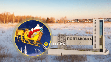 Ці тварини - один з символів зимових свят