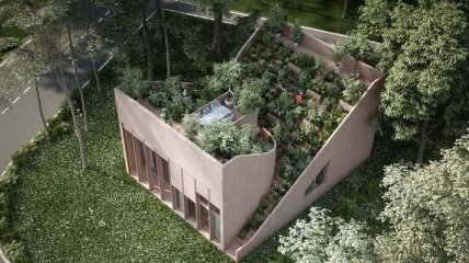 Современный дом с огородом на крыше (Фото)
