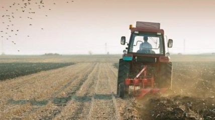 Милованов: Кредит на покупку земли можно будет взять под 5% годовых