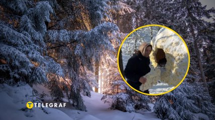 Зимовий ліс, власник зі своїм "коконом"