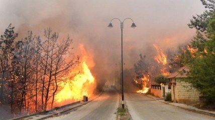 ЕС мобилизовал авиацию для борьбы с пожарами в Ливане