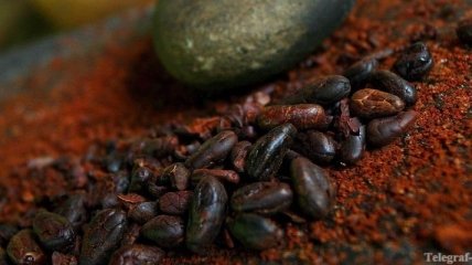 Употребление какао способствует улучшению памяти