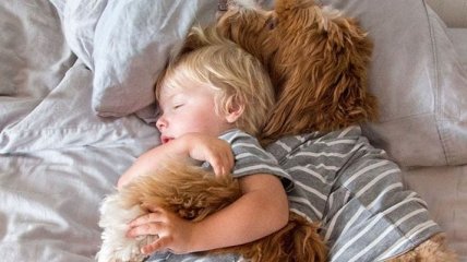Трогательная дружба маленького мальчика и пса (Фото)