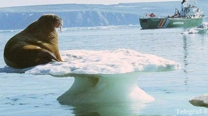 Канада построит Арктическую исследовательскую станцию