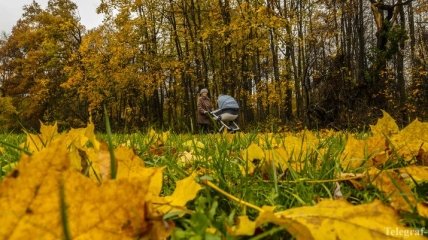 Погода 9 октября: антициклон принесет в Украину бабье лето