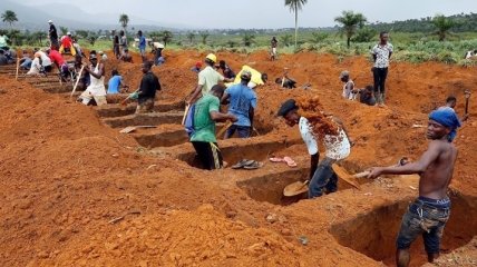 Столкновения между кочевниками и фермерами в Нигерии: Более 200 человек погибло