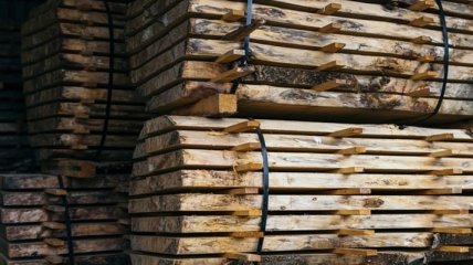 Несмотря на COVID-19: Гослес нарастил экспорт древесины на четверть