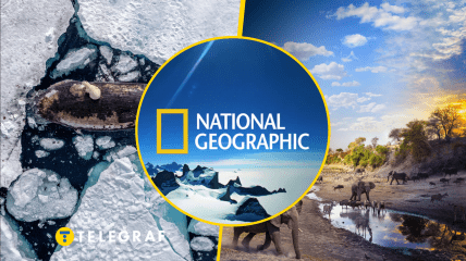 Иллюстративное фото