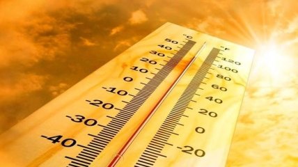 2018 год стал одним из самых жарких в истории 