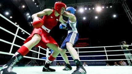 Четыре украинца примут участие в новом сезоне AIBA Professional Boxing