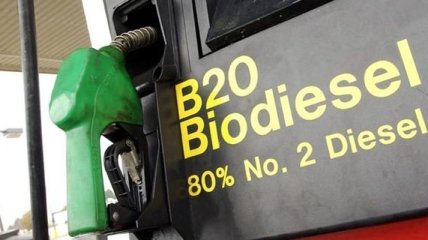 Чем опасно биотопливо? 