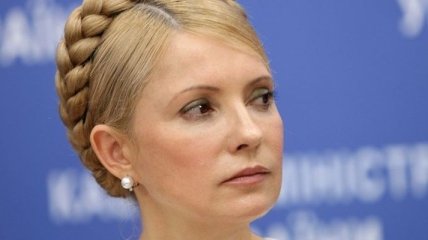 Тигипко: Дело Тимошенко затрудняет евроинтеграцию Украины