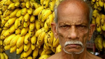 Бананы могут исчезнуть во всем мире