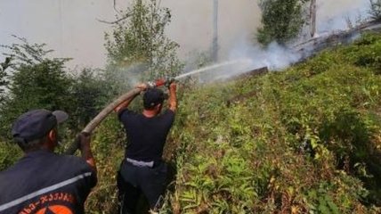 Украина поможет тушить лесные пожары в Грузии
