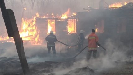 Ситуация с пожарами на Житомирщине и Киевщине (Фото и видео)