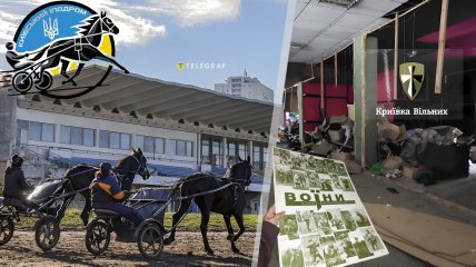 Ипподром стал эпицентром скандала вокруг склада волонтеров. Фото Коллаж "Телеграфа"