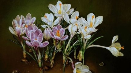 Приятные и гармоничные цветочные натюрморты от талантливого художника (Фото) 