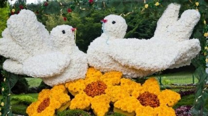 Выставка цветов в этом году в Киеве побила все рекорды