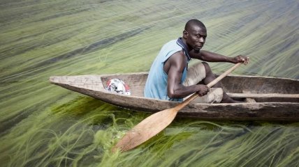 Снимки из удивительной повседневной жизнь в Африке (Фото)