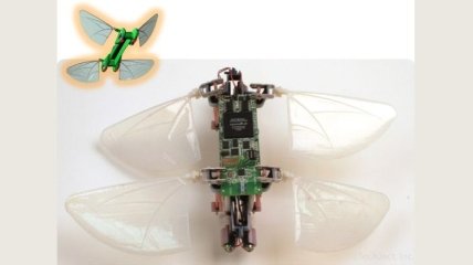 Шпионский робот-стрекоза TechJet Dragonfly (Видео)