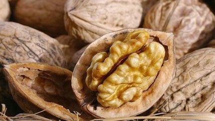 Диетологи поделились важной информацией о грецких орехах