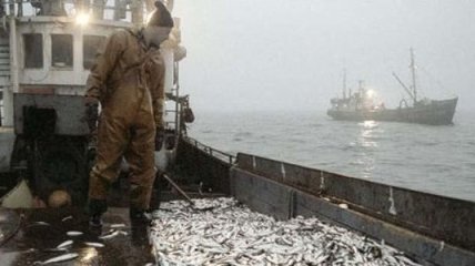 Депутат Госдумы нашел иностранных агентов среди российских рыбаков