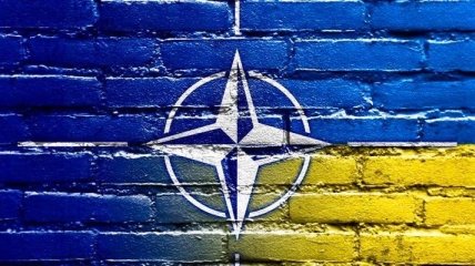 Фриз сообщила о "практической интеграции" Украины с НАТО