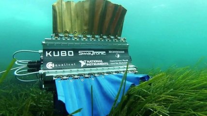 Студенты создали робота-рыбу для съемки под водой (Видео)