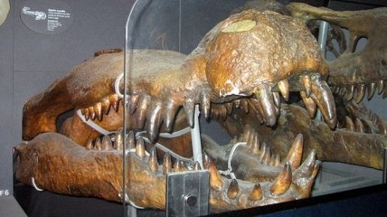 Найдены останки доисторического чудовища весом около 3 тонн (Видео)