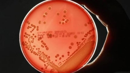 Ученые создали антибиотик, который убивает опасные бактерии