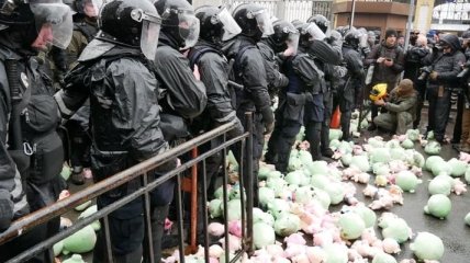 Активисты "Нацкорпуса" забросали правоохранителей игрушечными свинками