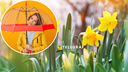 Начало апреля оказалось дождливым
