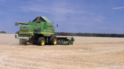 Пшеницы в Румынии в 2012 году будет меньше на 20% 