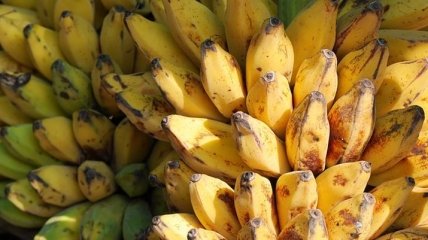 Медики рассказали о полезности зеленых, желтых и коричневых бананов
